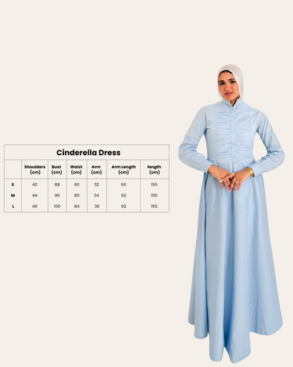 Cinderella Dress